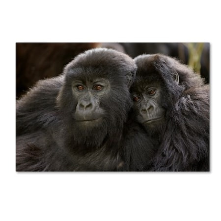 Robert Harding Picture Library 'Two Monkeys' Canvas Art,30x47